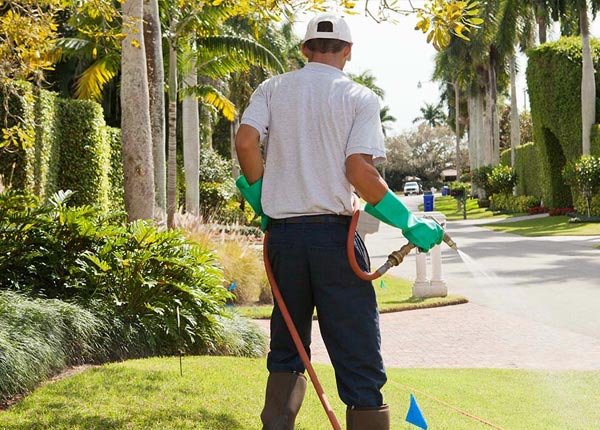 About Gila Bend AZ Pest Control Pros